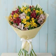 Букет цветов из:  Альстромерии в Дульдурге