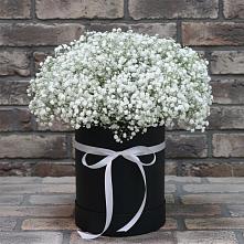 Цветочная композиция из Гипсофила в шляпной коробке #REPLACE_PRED# Дульдурге