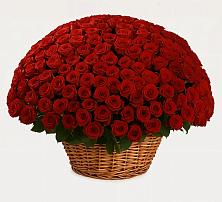 Премиум букет из: Розы в Дульдурге