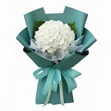 Букет цветов из:  Гортензия в Дульдурге